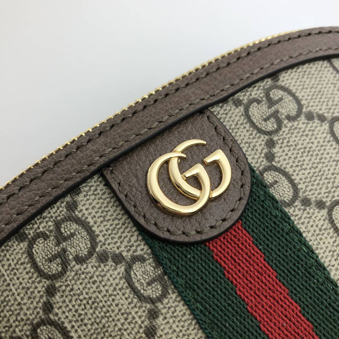 Gvc*1 Ophidia Gg Cosmetic Pouch Brown